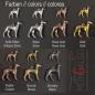 Preview: PROMOTION Sighthound "W3 - 29mm" (100 pieces)
