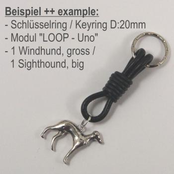 LOOP