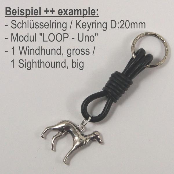 LOOP